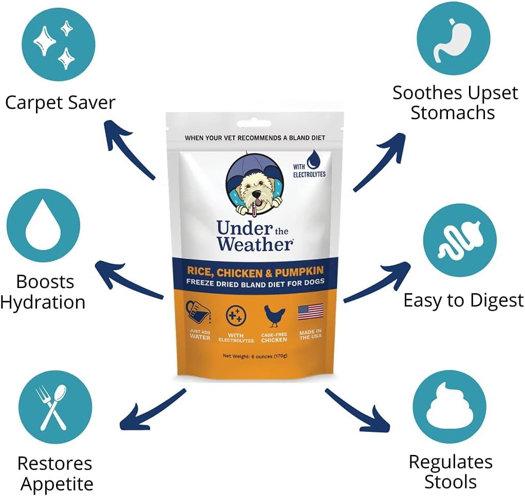 Bland Diet for Dogs | Easy to Digest for Sick Dogs |Always Be Ready | Contains Electrolytes - All Natural Freeze Dried 100% Human Grade Meats | 6 Pack - Rice, Chicken & Pumpkin - 6Oz