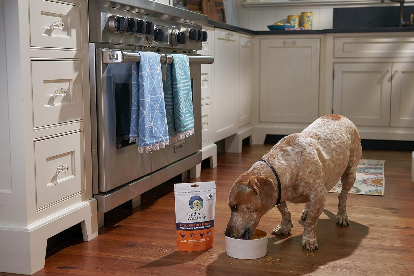 Bland Diet for Dogs | Easy to Digest for Sick Dogs |Always Be Ready | Contains Electrolytes - All Natural Freeze Dried 100% Human Grade Meats | 6 Pack - Rice, Chicken & Pumpkin - 6Oz