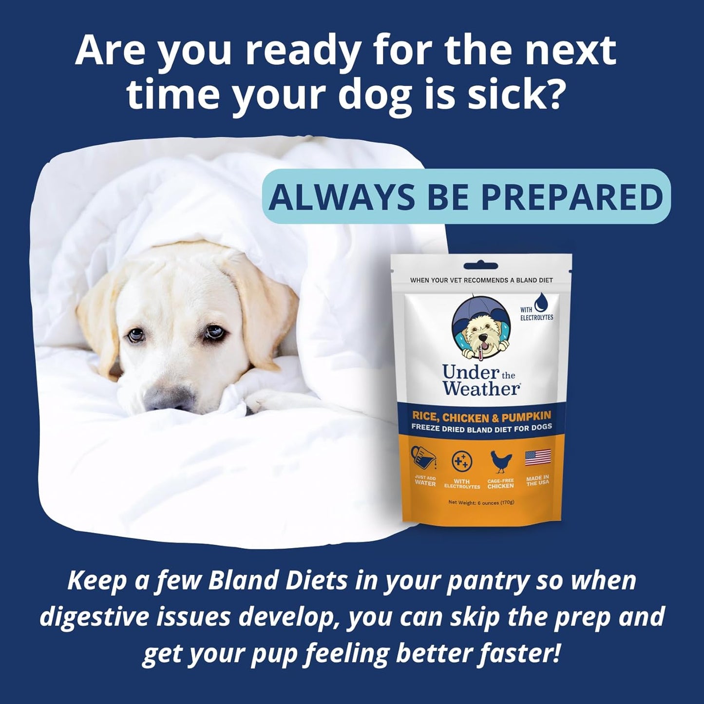 Bland Diet for Dogs | Easy to Digest for Sick Dogs |Always Be Ready | Contains Electrolytes - All Natural Freeze Dried 100% Human Grade Meats | 6 Pack - Rice, Chicken & Pumpkin - 6Oz