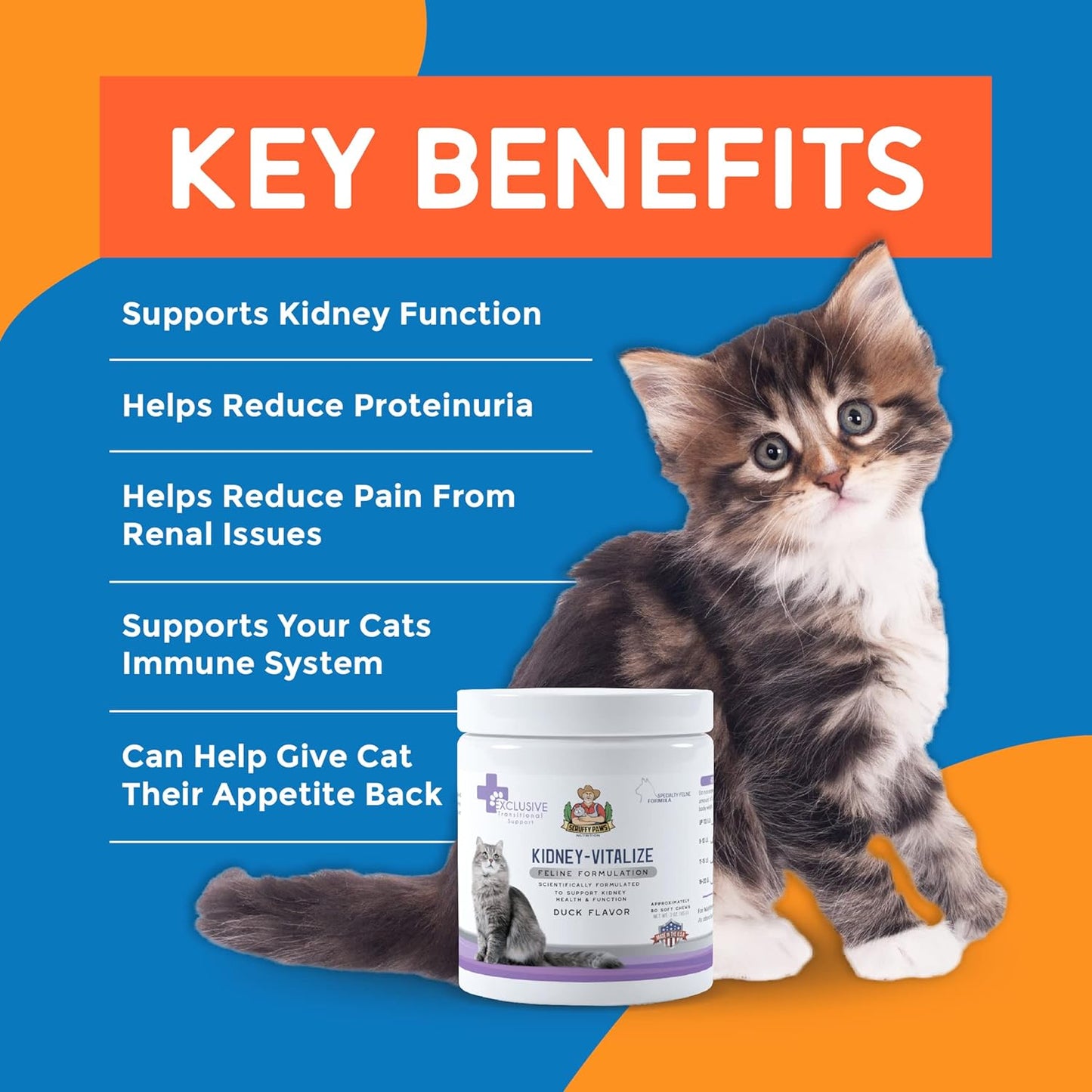 Scruffy Paws Kidney Vitalize Chews (3Oz Jar - 80 Chews Approx), Chicken Flavor