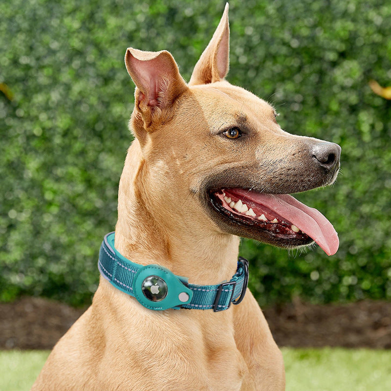 Tracker Pet Collar Cover : Pet Loss Prevention