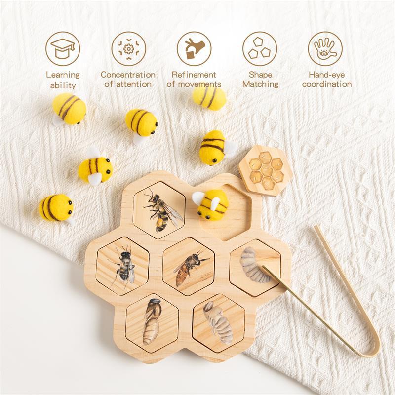 Montessori Natural Science Teaching Aids Bee Puzzle Early Education Cognitive Toys