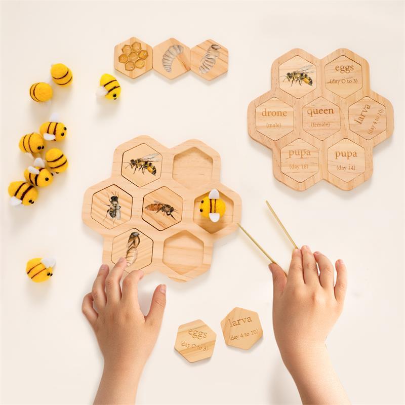 Montessori Natural Science Teaching Aids Bee Puzzle Early Education Cognitive Toys