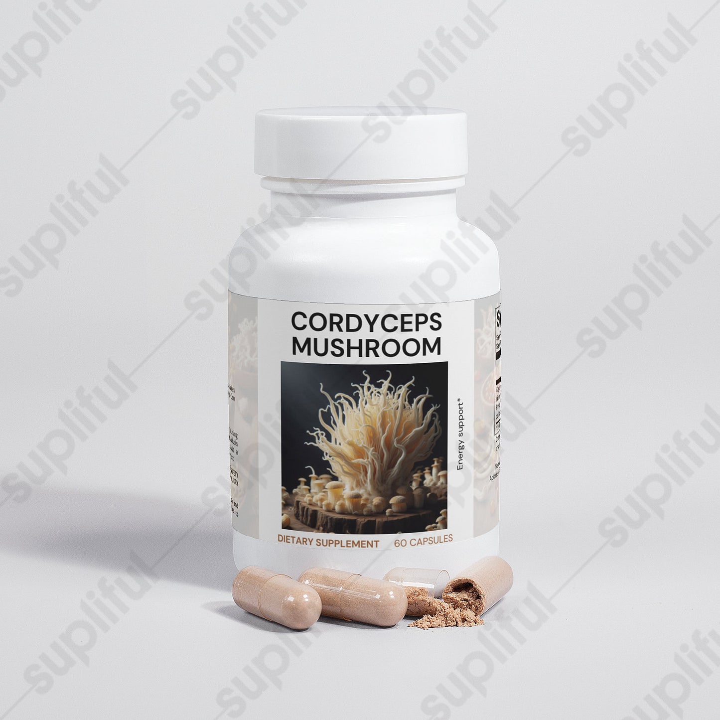 Cordyceps Mushroom