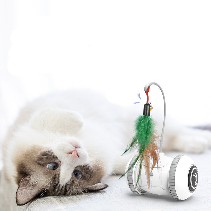 Interactive Cat Toy With Interchangeable