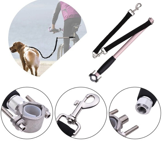 Bicycle walking dog leash