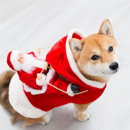 Christmas Pet Clothes.