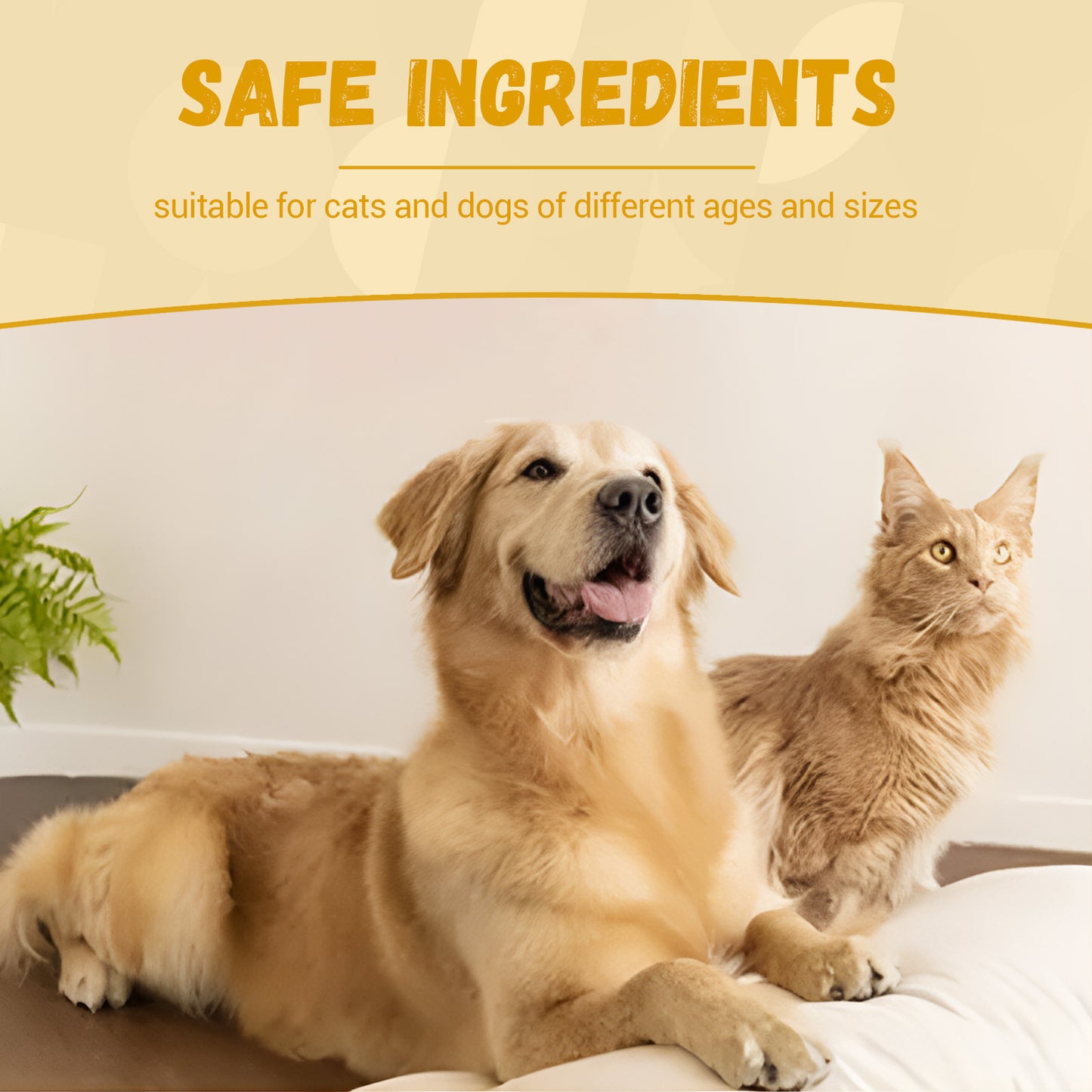 Pet Nutritional Supplements for Vitality