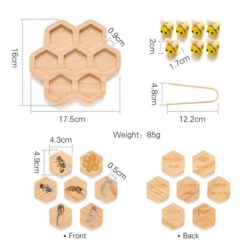 Montessori Natural Science Teaching Aids Bee Puzzle Early Education Cognitive Toys