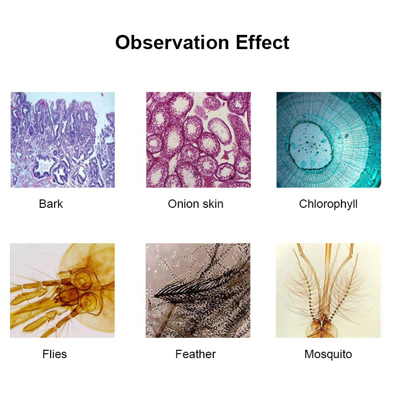 Portable Microscope For Children's High-definition Biological Science Experiments