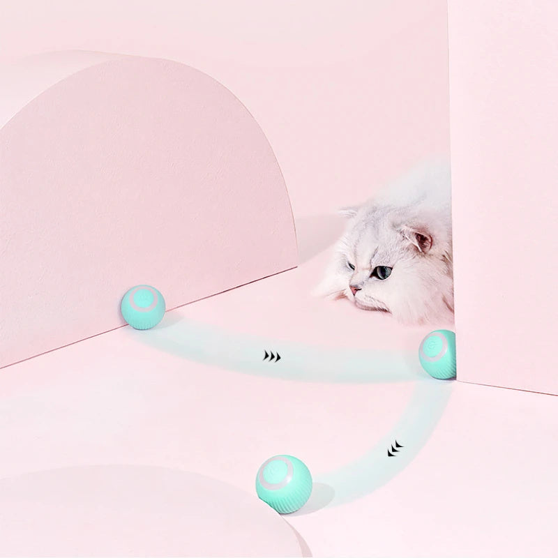 Interactive Cat Car Toy : Remote control