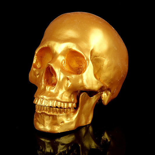 Skull Medical School: Popular Science