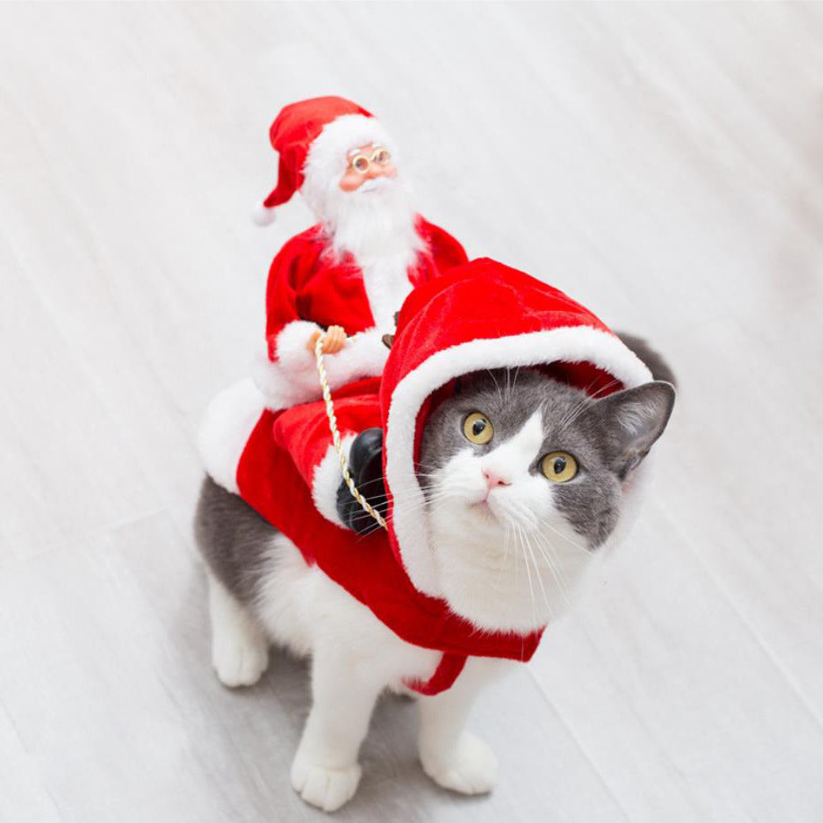 Christmas Pet Clothes.