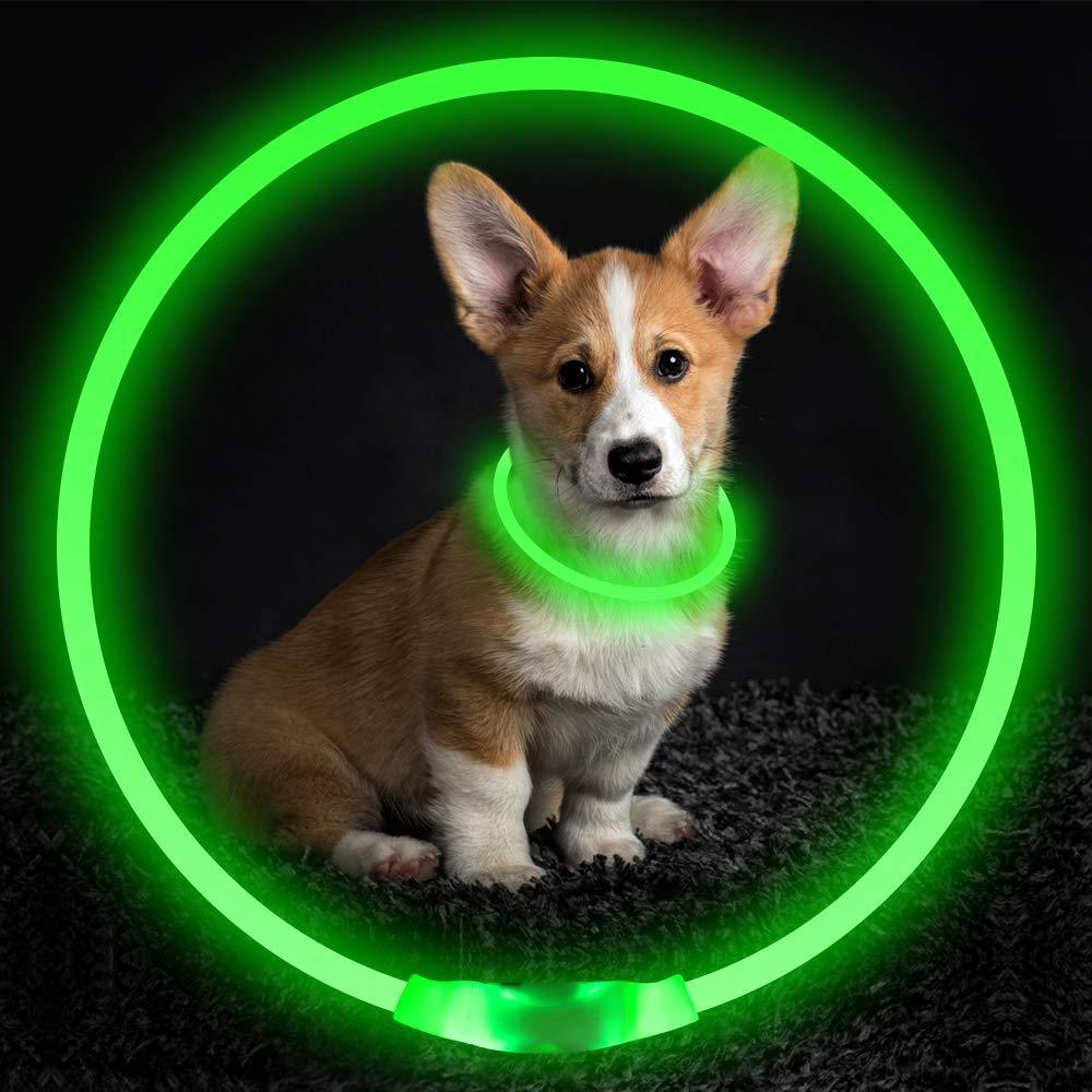 Pet Glowing Necklace for safety