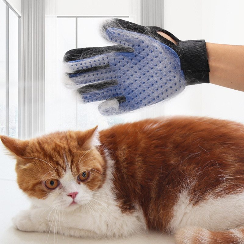 Cat Grooming Glove : Hair Brush