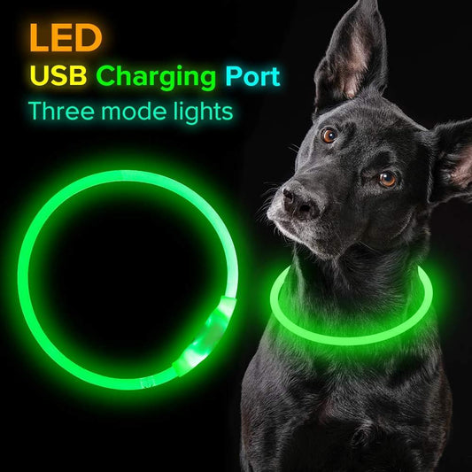 Pet Glowing Necklace for safety