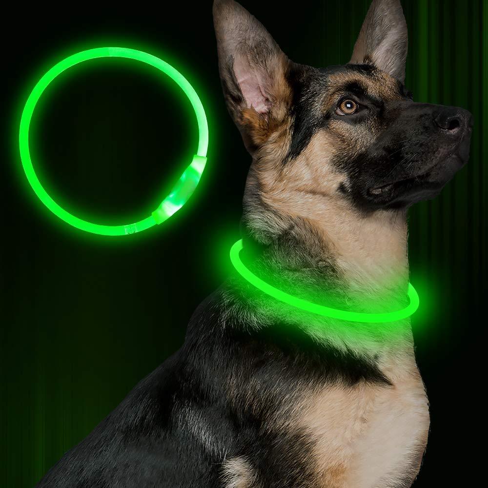 Pet Glowing Necklace for safety