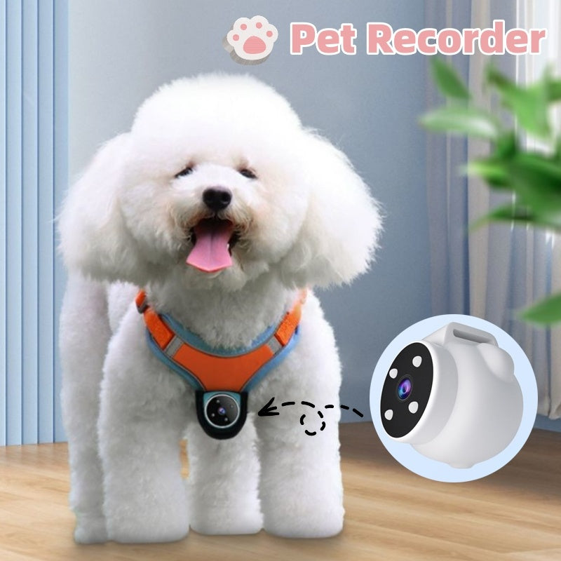 Pets Recorder and Tracker Collar