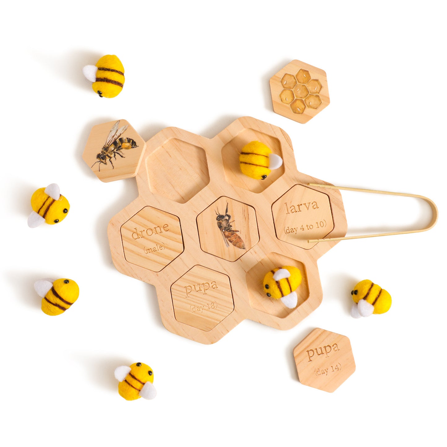 Montessori Natural Science Teaching Aids Bee Puzzle Early Education Cognitive Toys