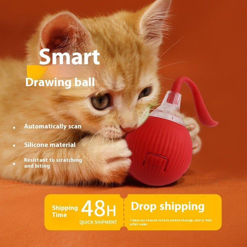 Pets Interactive Toy : with Teaser Game