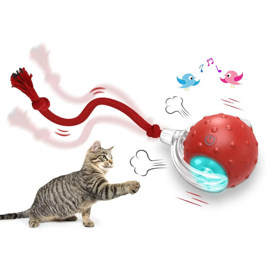 Pets Interactive Toy : with Teaser Game