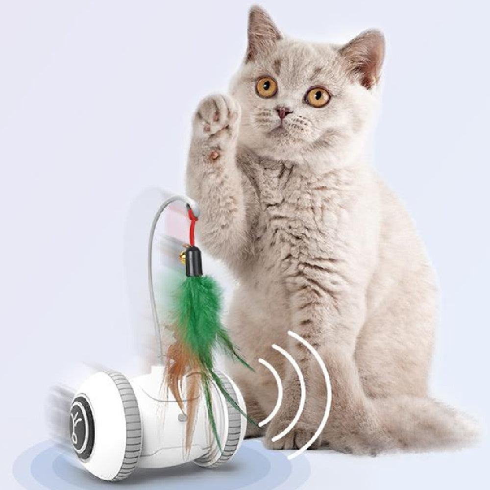 Interactive Cat Toy With Interchangeable